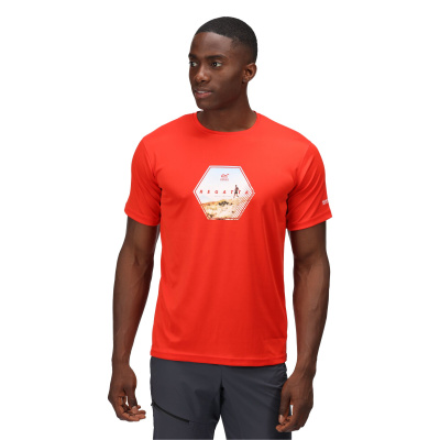 Vīriešu T-krekls Fingal VI T-Shirt, 657, XXXL