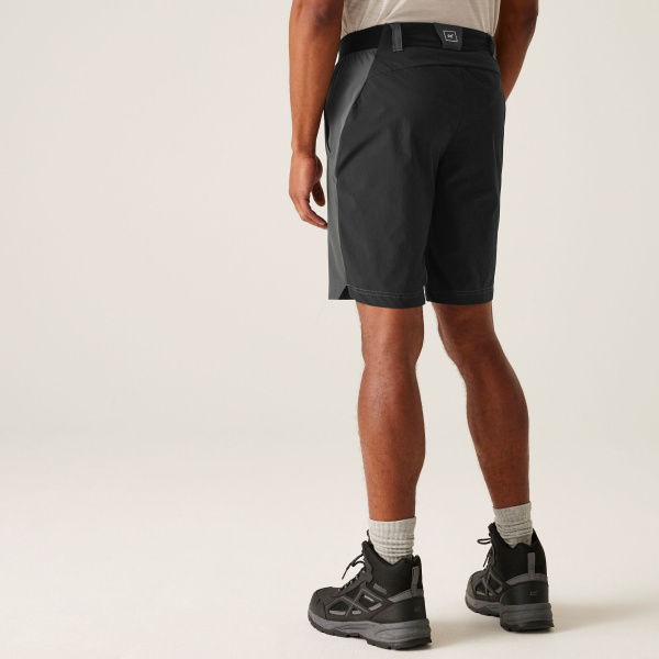 Men`s Eldes Walking Shorts, 61G, 36 Men`s Eldes Walking Shorts, 61G, 36