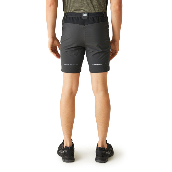 Men`s Mountain II Walking Shorts, 61G, 38
