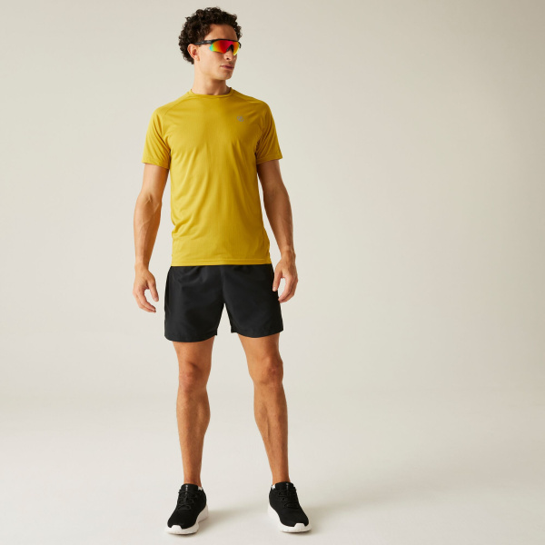 Men`s Dare 2b Accelerate Fitness T-Shirt, ZSW, XL