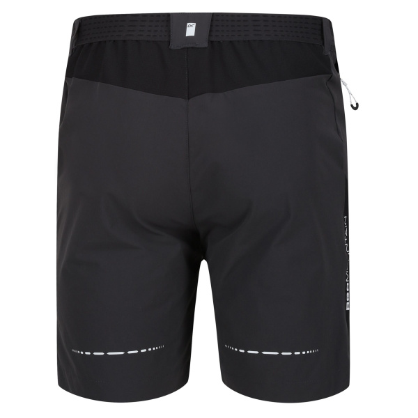Men`s Mountain II Walking Shorts, 61G, 38